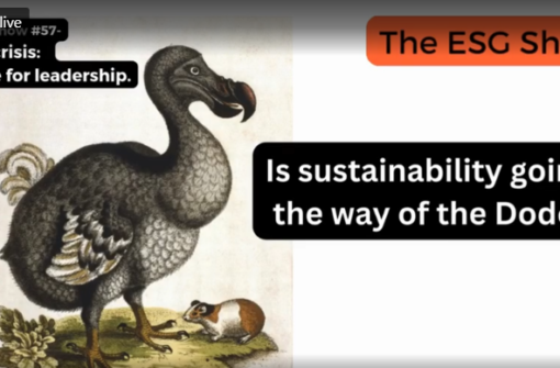 The ESG Show 57 ESG in crisis It s time for leadership?