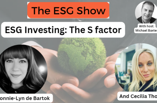 The ESG Show 48 ESG investing in the S Factor